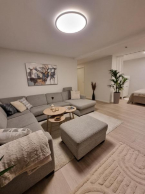 New renovated apartment near the airport with 3 double beds